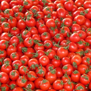 tomatoes, vegetables, red-73913.jpg